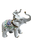 Elefante madre e hijo
