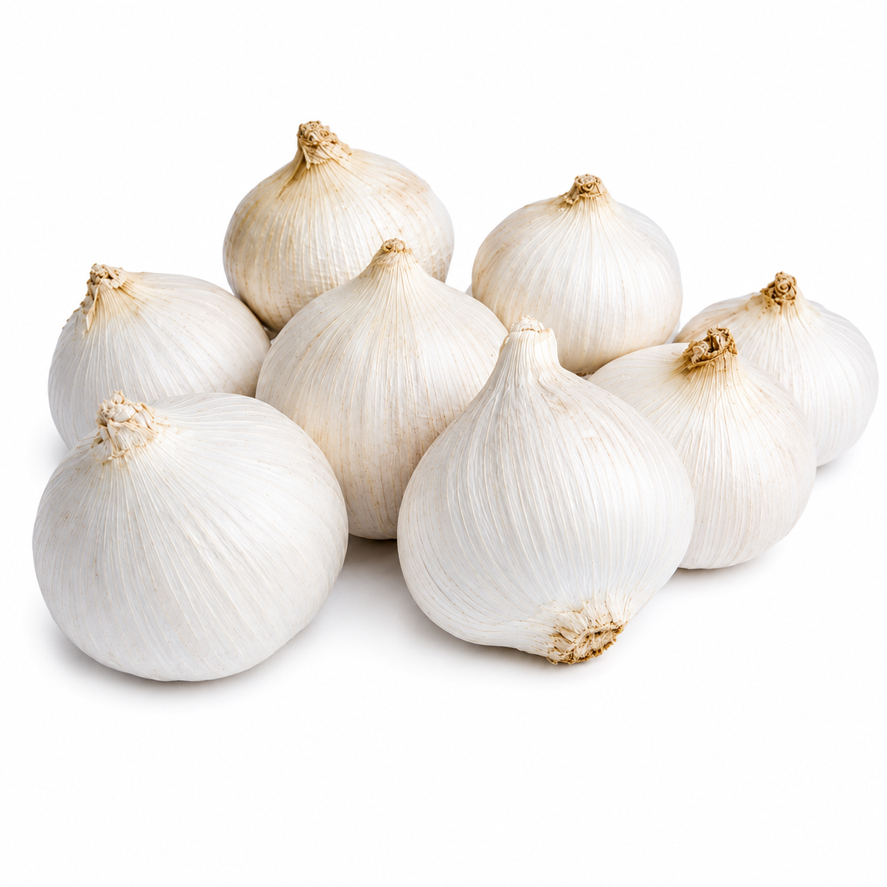 Ajo Macho Natural | Amuleto de Protección Energética