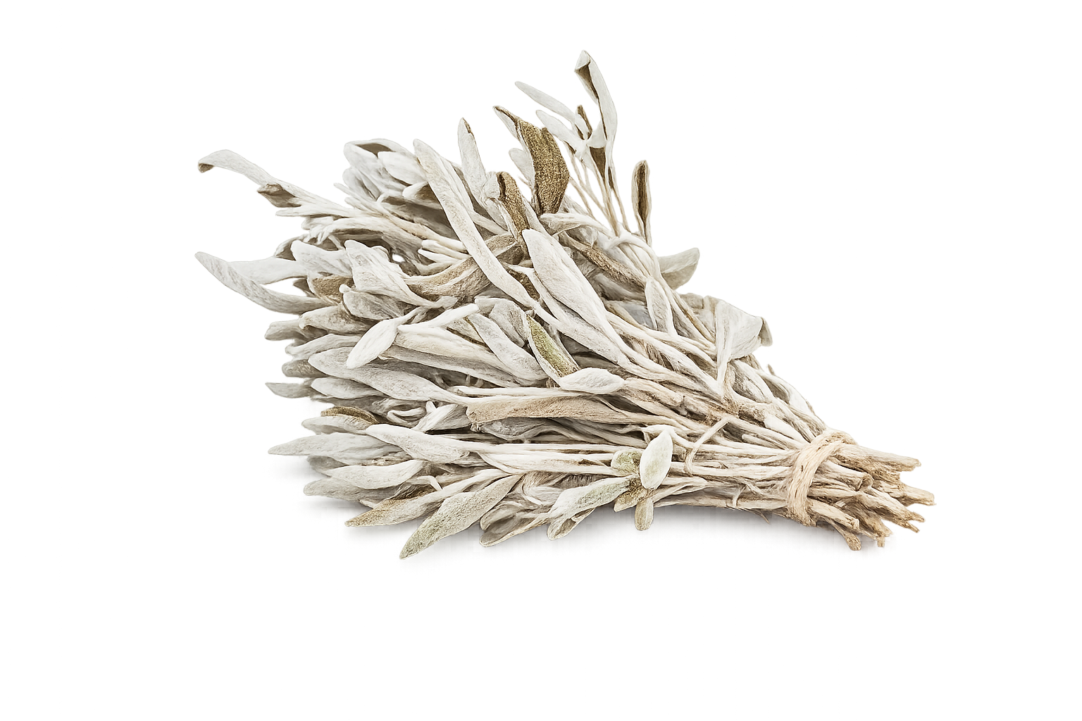 Salvia Natural para Sahumar