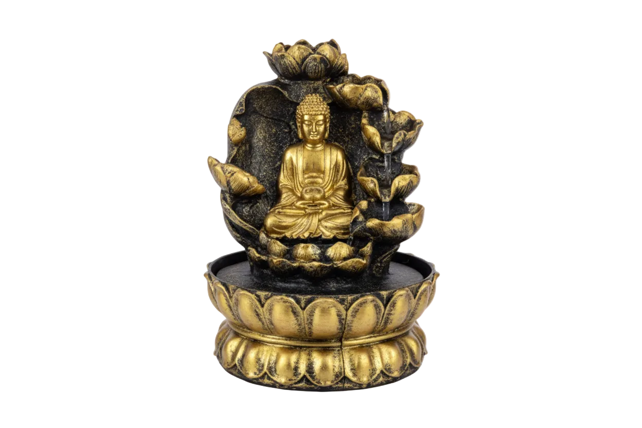 Pileta Buda