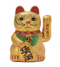 Gato Llama Plata Dorado Mediano