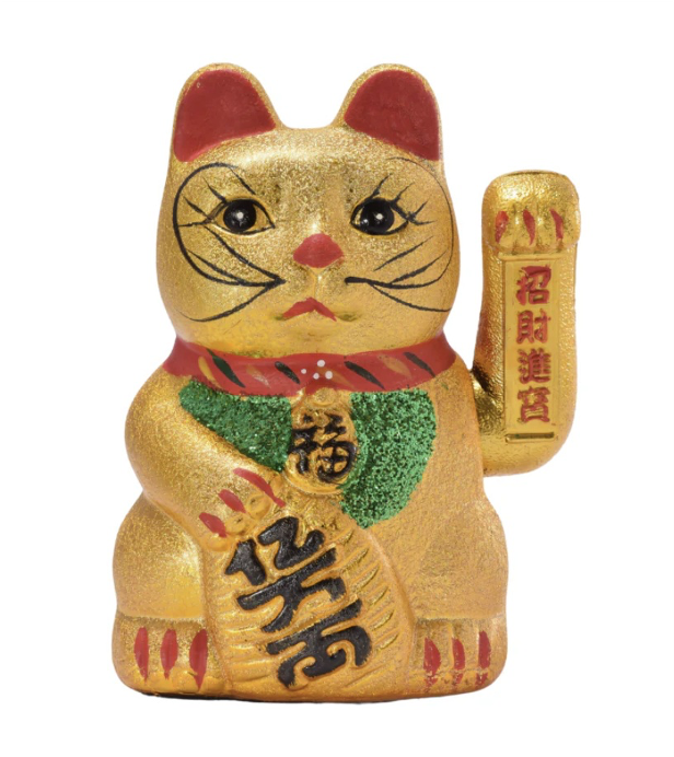 Gato Llama Plata Dorado Mediano