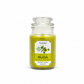 Vela Aromática Goloka Ruda – Protección y Limpieza Energética 142 g